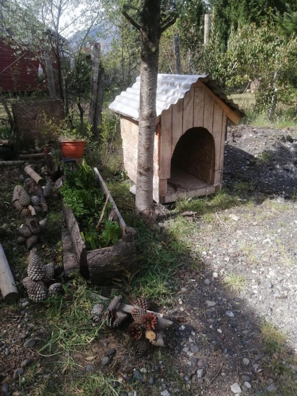 Cabana May Pao, Para 3 En Melipeuco Cerca Del Parque Nacional Conguillio Екстериор снимка