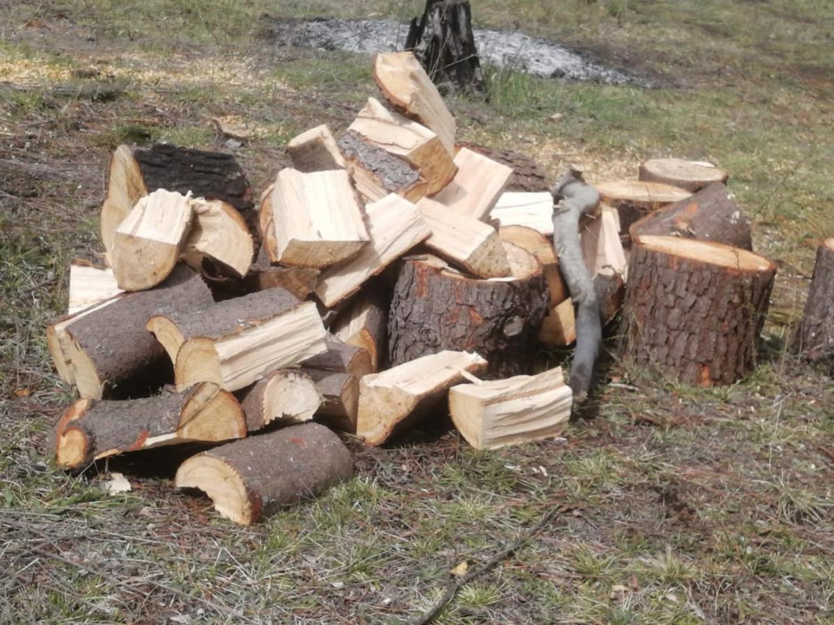Cabana May Pao, Para 3 En Melipeuco Cerca Del Parque Nacional Conguillio Екстериор снимка