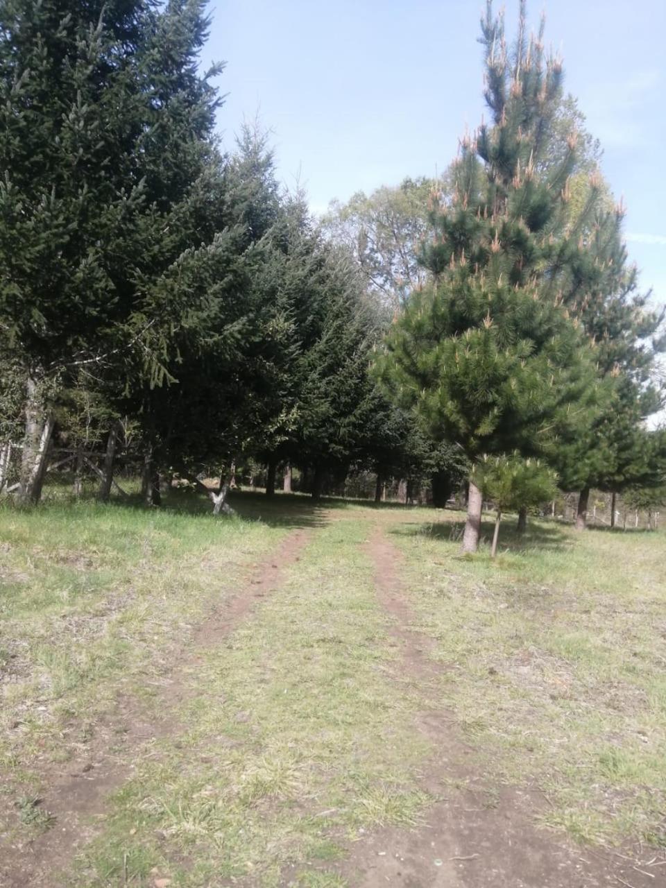 Cabana May Pao, Para 3 En Melipeuco Cerca Del Parque Nacional Conguillio Екстериор снимка