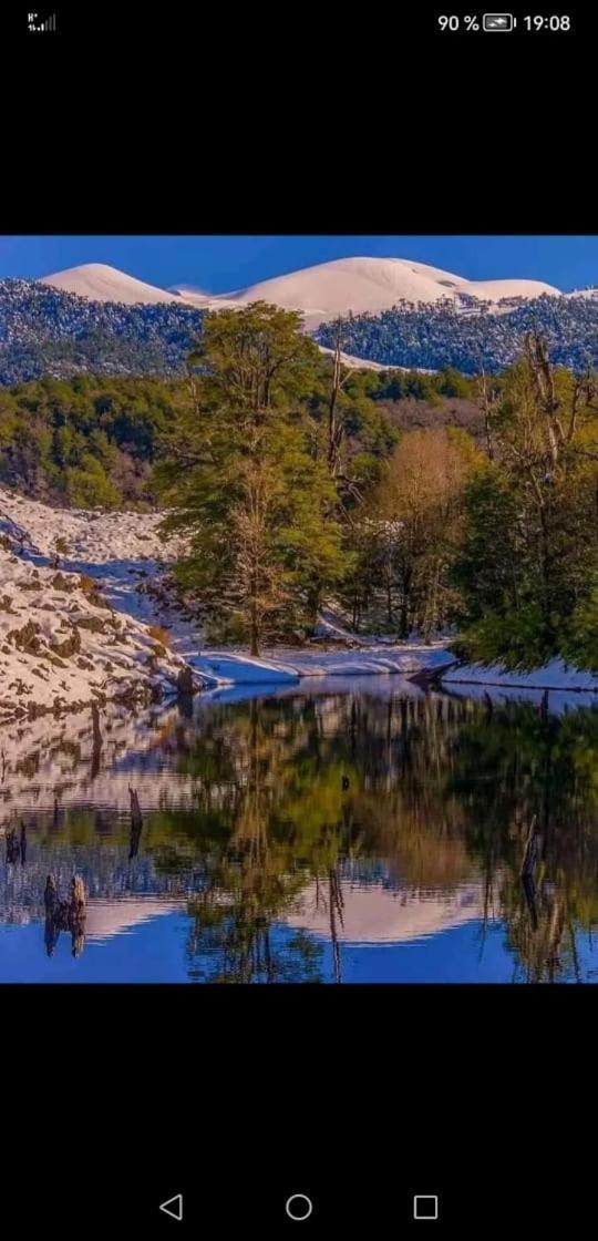 Cabana May Pao, Para 3 En Melipeuco Cerca Del Parque Nacional Conguillio Екстериор снимка