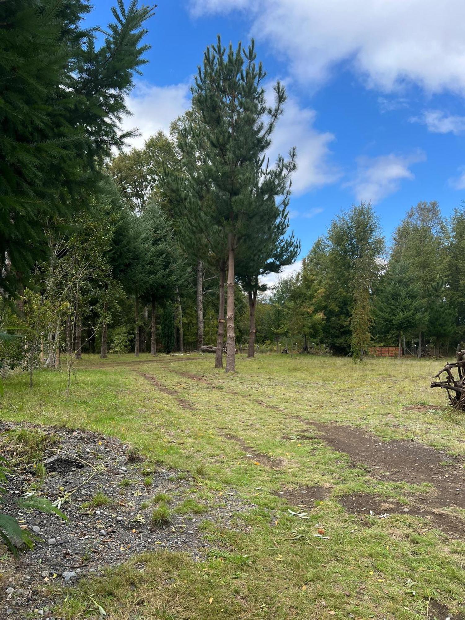 Cabana May Pao, Para 3 En Melipeuco Cerca Del Parque Nacional Conguillio Екстериор снимка
